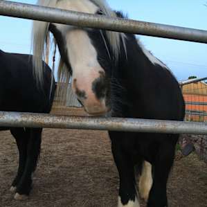 Tres Caballos Casita