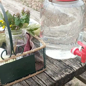 Complimentary eggs, honey, & water