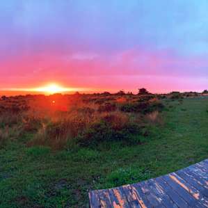 it was a story march evening & we didn't know if the sunset would be much of a show due to the clouds -- but we were magically rewarded for our patience!