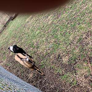 Hayseed Farm