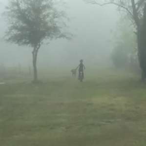 Bike the fog with a dog