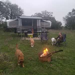 Nice private grove, a small trailer easily fits.