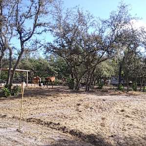 Woodbury Farms