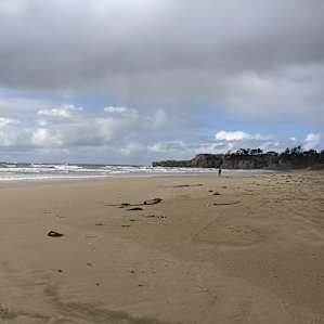 The beach