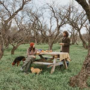 picnic table