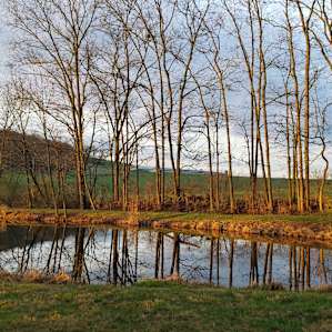 Overland Camping at The Pond