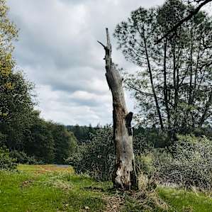 Lakeside Bluff at Finnon Lake T-19