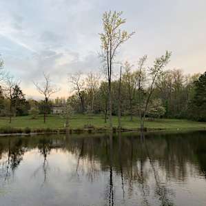 Camp Henning at Ellerbe Springs