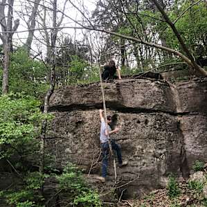 Baby Bears Camp
