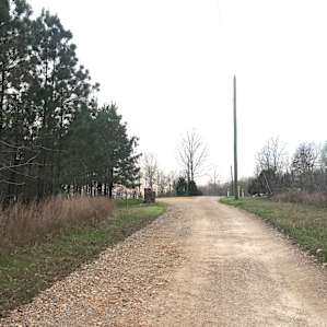 Road to camp