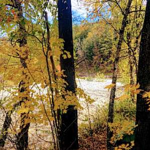 Winhall Brook Campground Vermont autumn