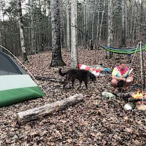 Wooded camp with Mountain view