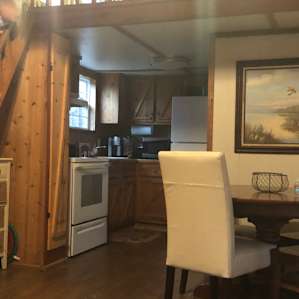 Tiny House in the Woods