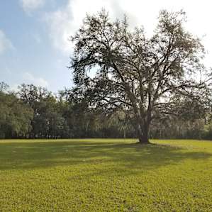 Mattson Ranch aka The Hive
