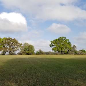Mattson Ranch aka The Hive