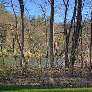 View from camper.