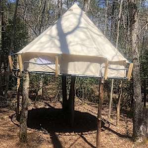 On the Beech Treehouse