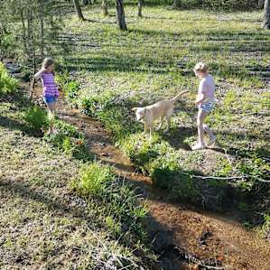 Creek by site #1