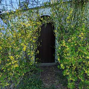 A World Away Farm, LLC Tent Sites