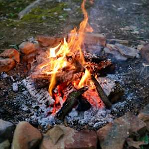 Fruitdale Farm Primitive Camping