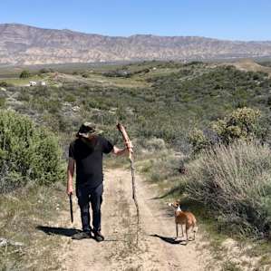 Fun trails for beginner & advanced hikers.