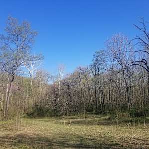 Hummingbird Hollow Farm Sanctuary