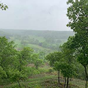 4R Ranch Vineyards & Winery RV Site