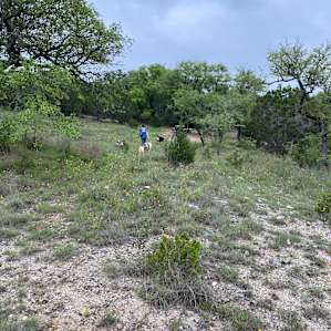 Little Haven - Wimberley, TX