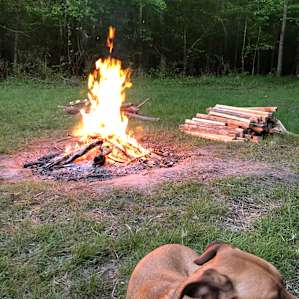 Campfire