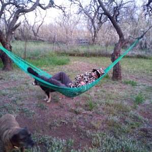 My son enjoying his new found friend the hammock... His pups looking after him in our new getaway...