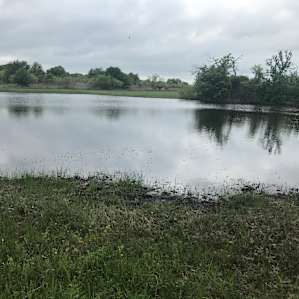 Still Waters Farm