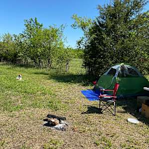 Texas Prairie and Fiber Ranch!