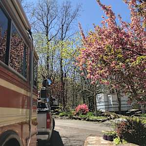 Beautiful Gatlinburg RV Site