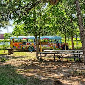 My kids loved this bus
