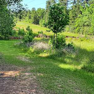 Along the trail