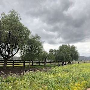 OwlBee Farm Campground