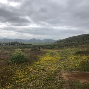 OwlBee Farm