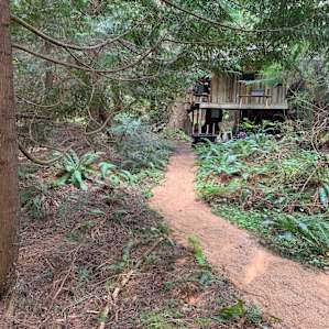 Cozy Tiny House in the Woods