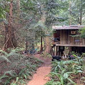 Cozy Tiny House in the Woods