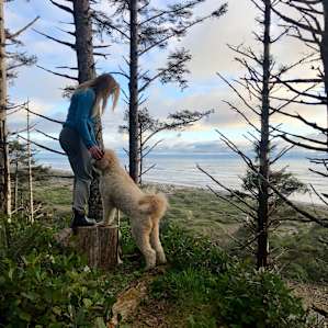Wild Coast Lookout