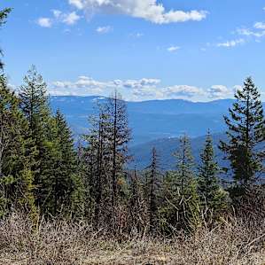 Views from the area