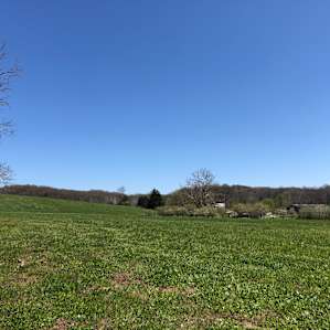 View of the property from Armadillo Holler