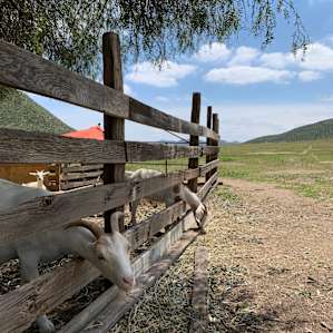 View of pen looking toward campsites
