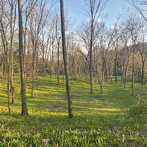 Hart Creek Retreat
