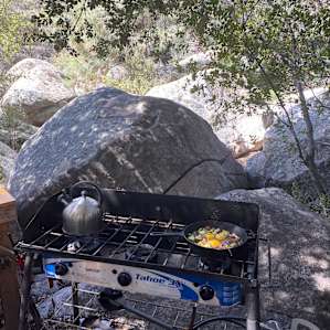 Communal kitchen