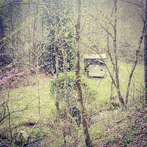 Cool abandoned house on one of the hikes. The area around is filled with wildflowers and a mountain creek