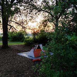 Sunsets and shade