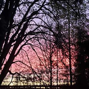 Sunset near the firepit