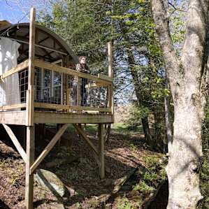 On the Beech Treehouse