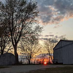 Liberty's Farmstay